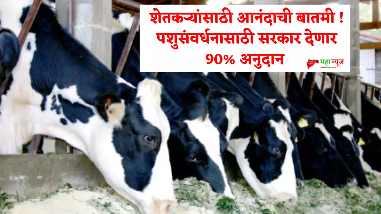 animal husbandry subsidy scheme
